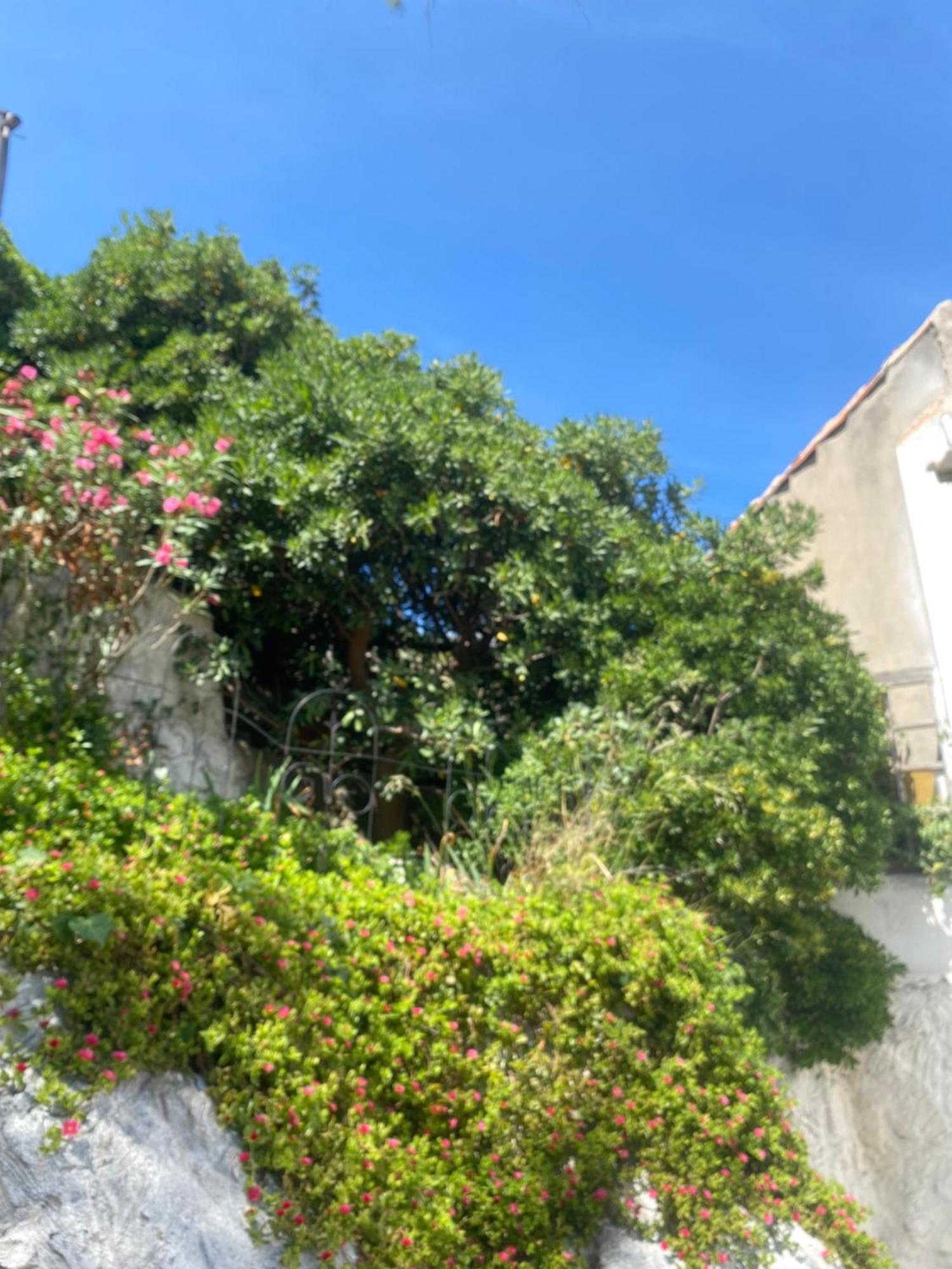 Au Coeur Du Parc National Du Massif Des Calanques, La Flibuste Des Goudes, Maison 2 Chambres, Climatisee, Jardins, Solarium, Proche Plage, Large Vue Mer มาร์กเซย ภายนอก รูปภาพ